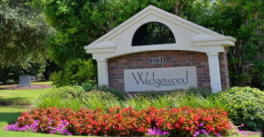 223 Wedgewood